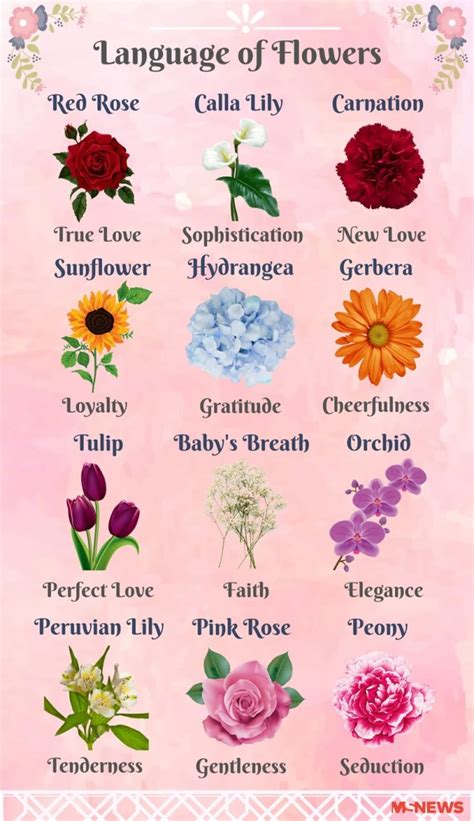 12 Flowers Symbolism Secrets Revealed