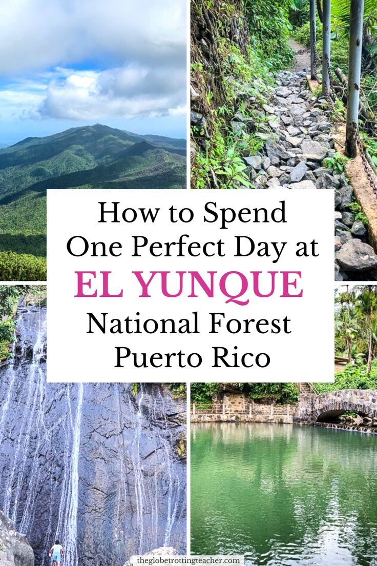 How To Spend A Day At El Yunque National Forest In Puerto Rico The Globetrotting Teacher