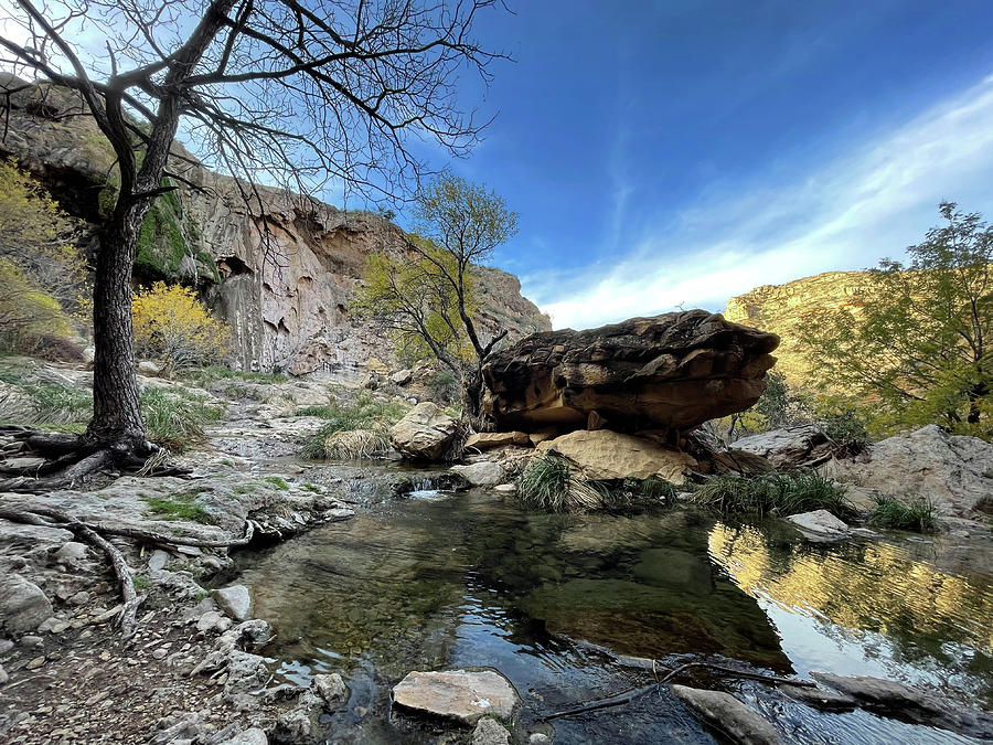 Late Autumn Colors Sitting Bull Falls New Mexico Guadalupe Mountains